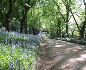 Duneira, Mt Macedon - Darwin Holiday 3