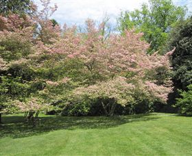 Duneira, Mt Macedon - Darwin Holiday 7