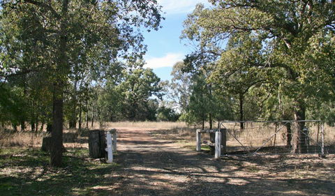 Terry Hie Hie Aboriginal Area - Darwin Holiday 2