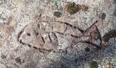 Terry Hie Hie Aboriginal Area - Darwin Holiday 3