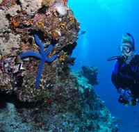 Lighthouse Bommie Dive Site - Darwin Holiday