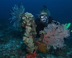 Two Towers Dive Site - Darwin Holiday 3