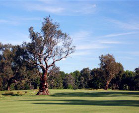 Corowa Golf Club - Darwin Holiday 5
