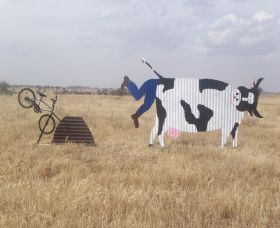 Animals On Bikes - Darwin Holiday 1