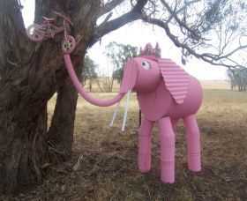 Animals On Bikes - Darwin Holiday 2