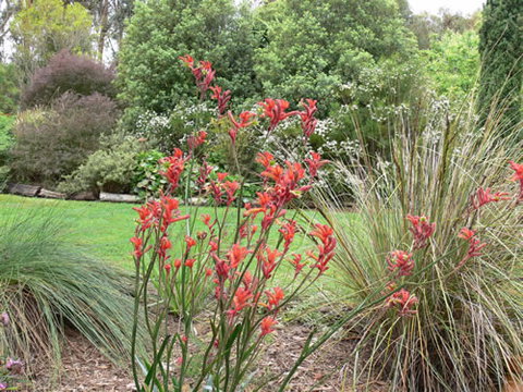 Timandra By The Sea - Darwin Holiday 11