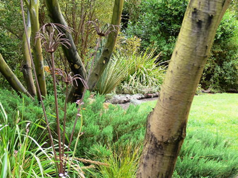 Timandra By The Sea - Darwin Holiday 12