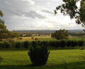 Wollundry Grove Olives - Darwin Holiday 1