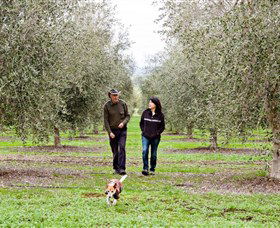 Wollundry Grove Olives - Darwin Holiday 3