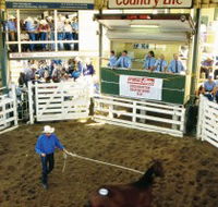Gracemere Exhibition Complex - Darwin Holiday