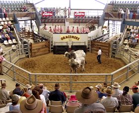 Gracemere Exhibition Complex - Darwin Holiday 1