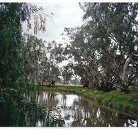 Henty Government Dam Nature Reserve - Darwin Holiday