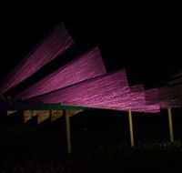 Public Art Wagga Wagga - Darwin Holiday