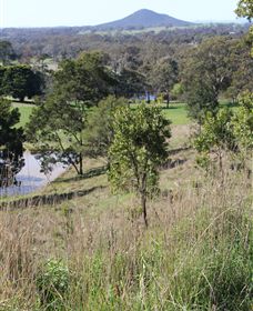 Mt Piper Nature Conservation Reserve - Darwin Holiday 1