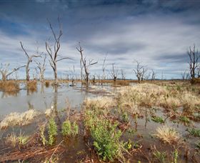 Winton Wetlands Reserve - Darwin Holiday 4