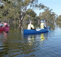Doodle Cooma Swamp - Darwin Holiday