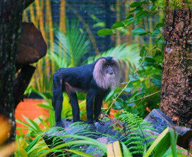 The Rockhampton Zoo - Darwin Holiday 3