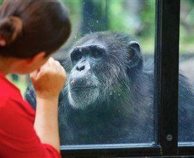The Rockhampton Zoo - Darwin Holiday 0
