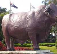 Rockhampton Bull Statues - Darwin Holiday