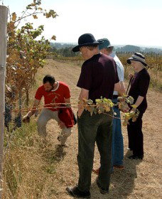 Rosnay Organic Farm And Vineyard - Darwin Holiday 2