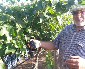 Rosnay Organic Farm And Vineyard - Darwin Holiday 6