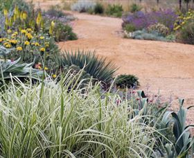 Perennialle Plants Nursery And Garden - Darwin Holiday 1