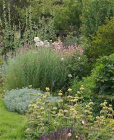 Perennialle Plants Nursery And Garden - Darwin Holiday 6