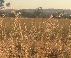 Springview Eco-Farm - Darwin Holiday 3