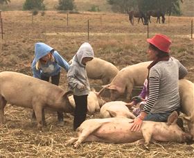 Springview Eco-Farm - Darwin Holiday 2