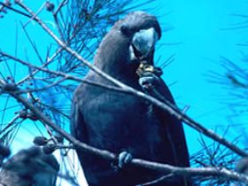 Mount Archer National Park - Darwin Holiday 0