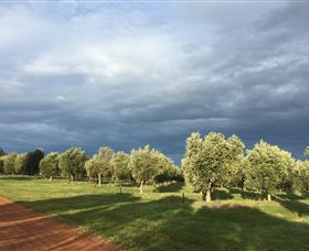 Camilo - Darwin Holiday 0