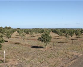 Camilo - Darwin Holiday 2