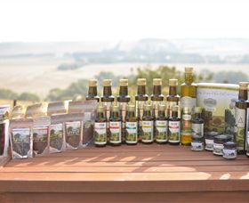 Camilo - Darwin Holiday 1