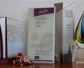 Camilo - Darwin Holiday 7