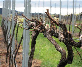 Stockmans Ridge Wines - Darwin Holiday 2