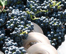 Orange Mountain Wines - Darwin Holiday 2