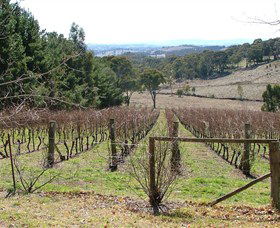 Habitat Vineyard - Darwin Holiday 0