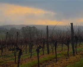 Bloodwood Estate - Darwin Holiday 1