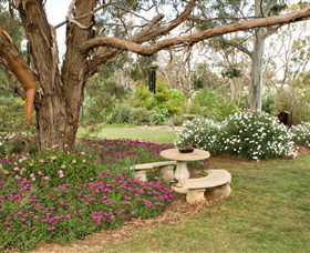 Wombat Heights Orchard And Grog Shed - Darwin Holiday 1