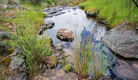 Hopetoun Falls Walking Track - Darwin Holiday 1