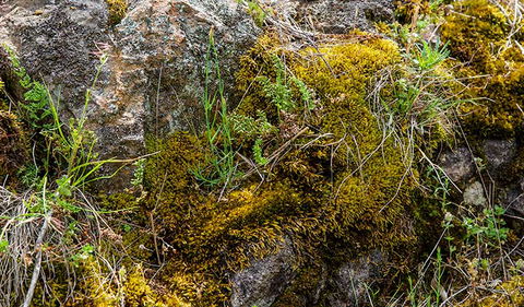 Hopetoun Falls Walking Track - Darwin Holiday 2