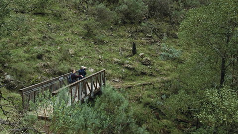 Mount Canobolas State Conservation Area - Darwin Holiday 3