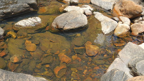 Mount Canobolas State Conservation Area - Darwin Holiday 2