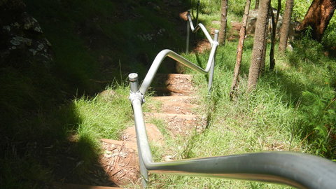 Mount Canobolas State Conservation Area - Darwin Holiday 1