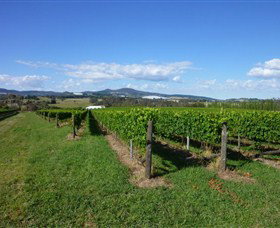 Hedberg Hill Wines - Darwin Holiday 0