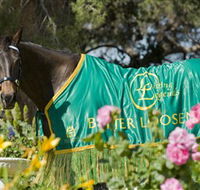 Living Legends The International Home of Rest for Champion Horses - Darwin Holiday