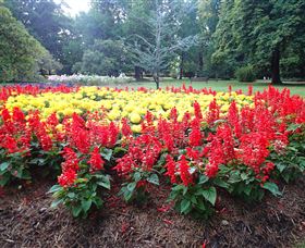 Cook Park - Darwin Holiday 1