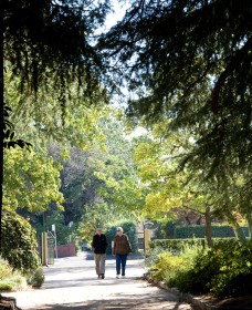 Cook Park Heritage Walk - Darwin Holiday 0