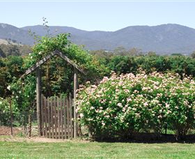 Samaria Farm - Darwin Holiday 2