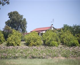Samaria Farm - Darwin Holiday 0